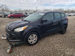 Salvage cars for sale from Copart Louisville, KY: 2014 Ford Escape S