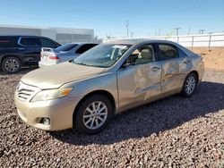 Salvage cars for sale at Phoenix, AZ auction: 2011 Toyota Camry SE