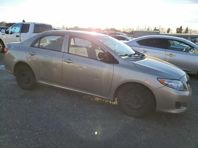 2010 Toyota Corolla Base