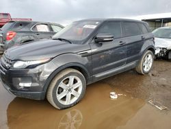 Land Rover Range Rover salvage cars for sale: 2013 Land Rover Range Rover Evoque Pure Premium