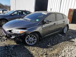 Ford Focus SE salvage cars for sale: 2017 Ford Focus SE