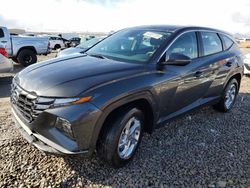 Hyundai Tucson SE salvage cars for sale: 2022 Hyundai Tucson SE