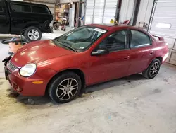 Salvage cars for sale from Copart Earlington, KY: 2005 Dodge Neon SXT