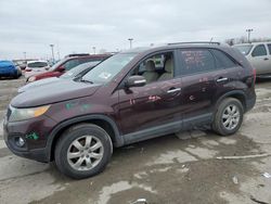 2011 KIA Sorento Base for sale in Indianapolis, IN