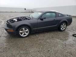 Ford Mustang salvage cars for sale: 2007 Ford Mustang GT