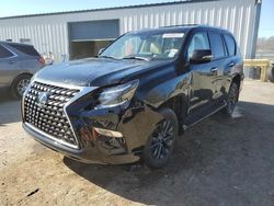 Salvage cars for sale from Copart Shreveport, LA: 2023 Lexus GX 460