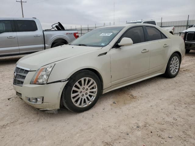 2010 Cadillac CTS Performance Collection