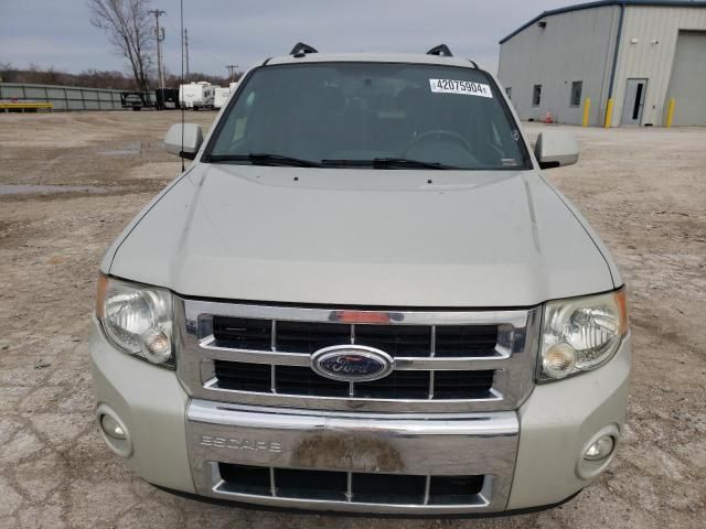 2009 Ford Escape Limited