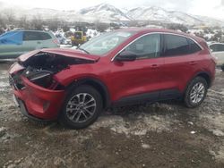 Salvage cars for sale at Reno, NV auction: 2022 Ford Escape SE