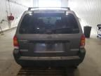 2002 Ford Escape XLT