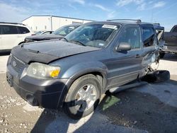 2006 Ford Escape XLT for sale in Haslet, TX