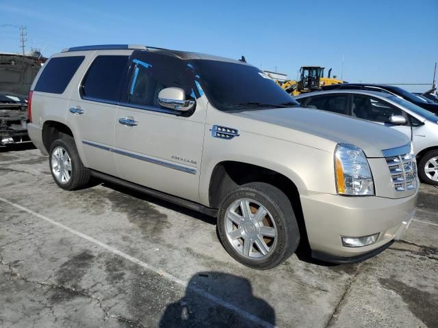 2011 Cadillac Escalade Premium