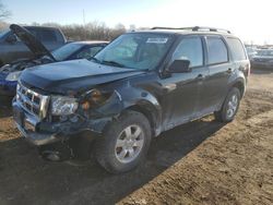 Ford Escape Limited salvage cars for sale: 2010 Ford Escape Limited