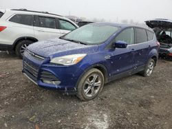 Ford Escape SE Vehiculos salvage en venta: 2016 Ford Escape SE