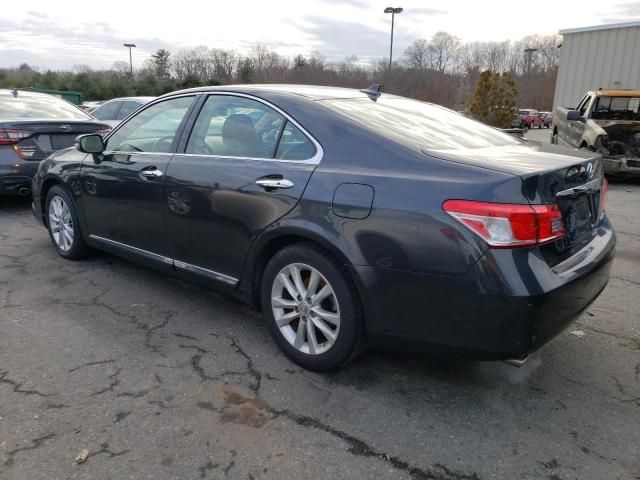 2011 Lexus ES 350