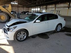 Salvage cars for sale at Phoenix, AZ auction: 2012 Infiniti G37