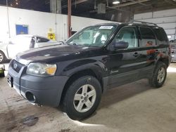 Salvage cars for sale from Copart Blaine, MN: 2007 Ford Escape HEV