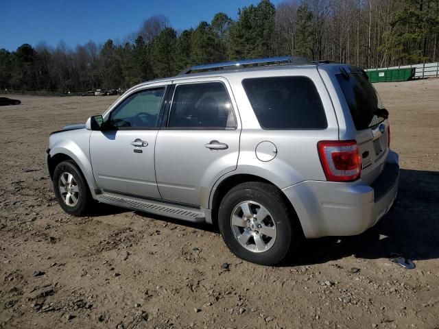 2010 Ford Escape Limited