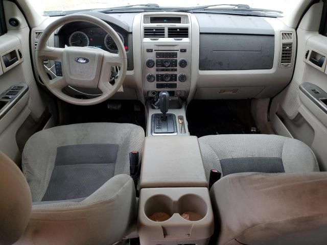 2008 Ford Escape XLT