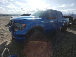Salvage trucks for sale at Magna, UT auction: 2014 Ford F150 Supercrew