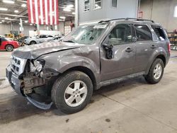 Vehiculos salvage en venta de Copart Ham Lake, MN: 2011 Ford Escape XLT