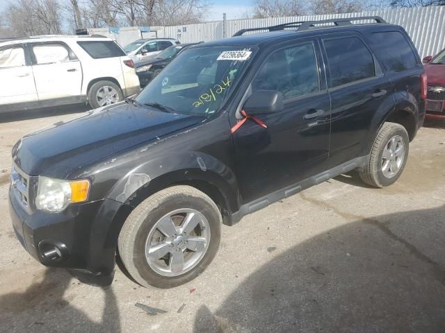 2010 Ford Escape XLT