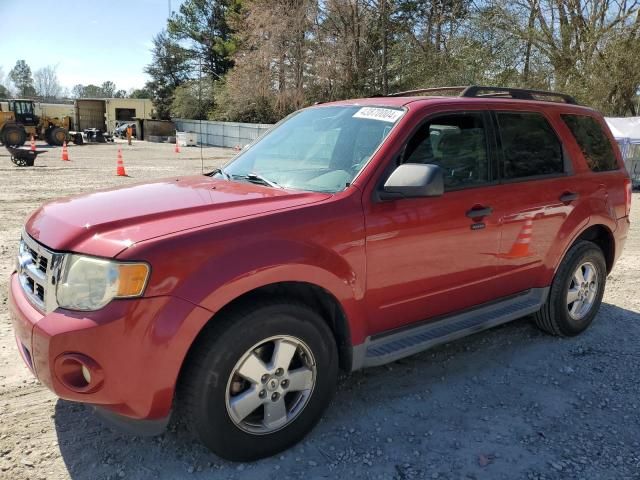 2011 Ford Escape XLT