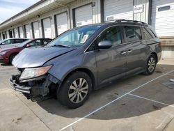 Vehiculos salvage en venta de Copart Louisville, KY: 2014 Honda Odyssey EXL