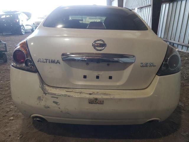 2010 Nissan Altima Base