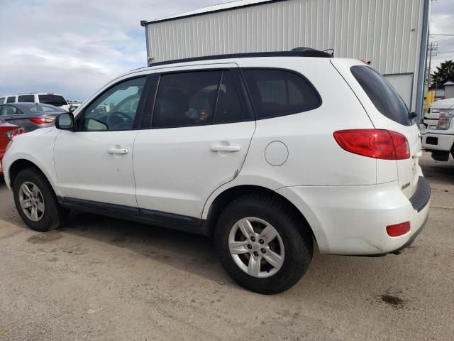 2009 Hyundai Santa FE GLS