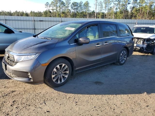 2023 Honda Odyssey EXL