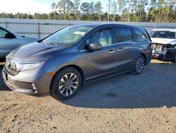 2023 Honda Odyssey EXL for sale in Harleyville, SC