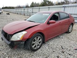 2007 Nissan Maxima SE for sale in Memphis, TN