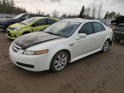 Acura salvage cars for sale: 2006 Acura 3.2TL