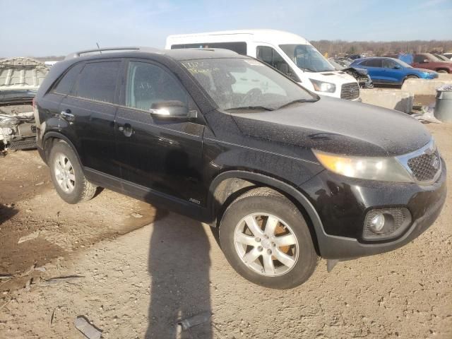 2011 KIA Sorento Base