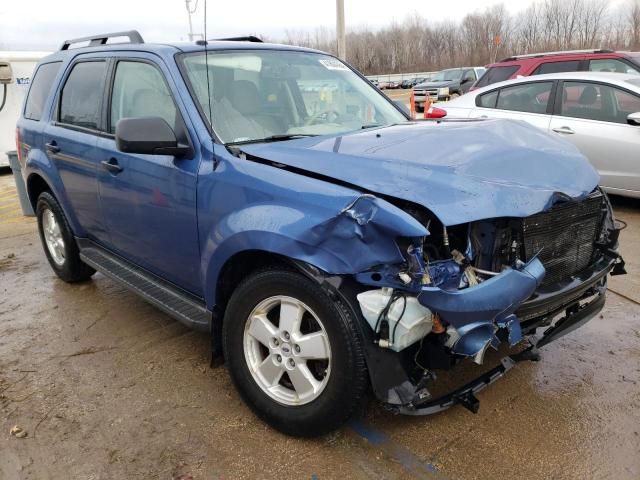 2010 Ford Escape XLT