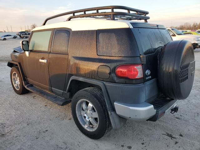 2007 Toyota FJ Cruiser