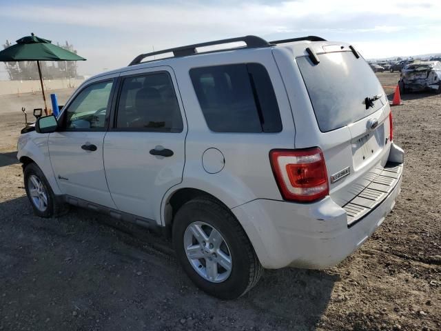 2009 Ford Escape Hybrid