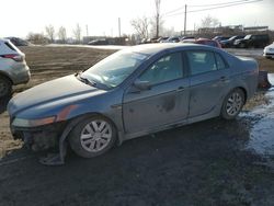 Acura 3.2tl salvage cars for sale: 2006 Acura 3.2TL