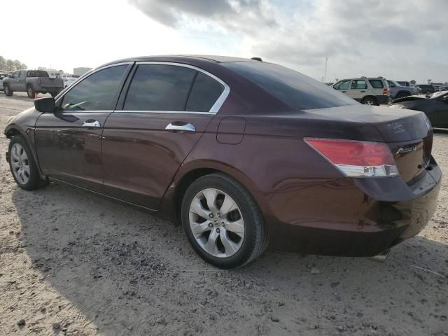 2010 Honda Accord EXL