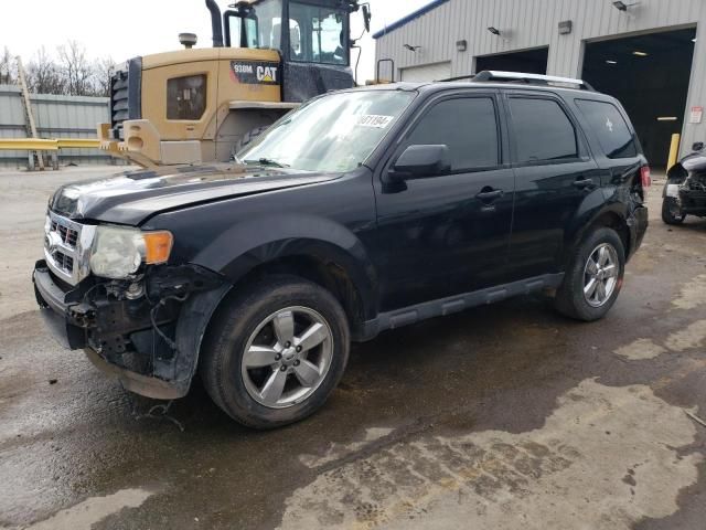 2010 Ford Escape Limited