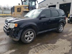 Salvage cars for sale at auction: 2010 Ford Escape Limited