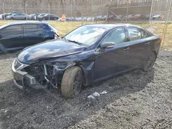 Salvage cars for sale at Finksburg, MD auction: 2009 Lexus IS 250