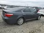 2007 Lexus LS 460