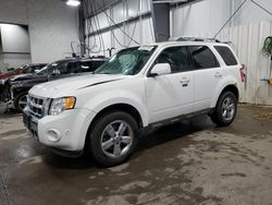 Ford salvage cars for sale: 2011 Ford Escape Limited