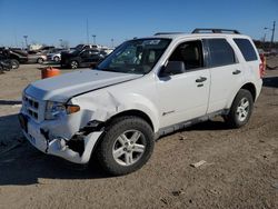 Salvage cars for sale from Copart Indianapolis, IN: 2010 Ford Escape Hybrid