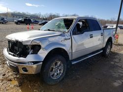 Salvage cars for sale from Copart Louisville, KY: 2014 Ford F150 Supercrew