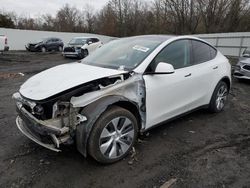 Salvage cars for sale from Copart Windsor, NJ: 2021 Tesla Model Y