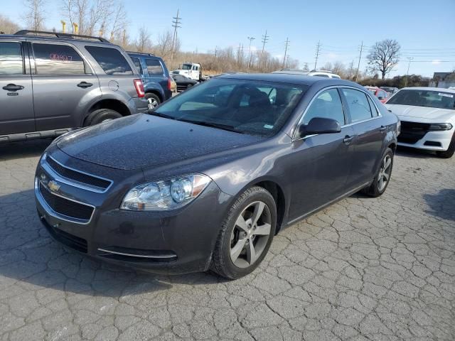 2011 Chevrolet Malibu 1LT