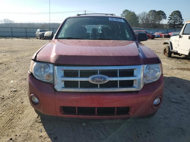 2009 Ford Escape XLT